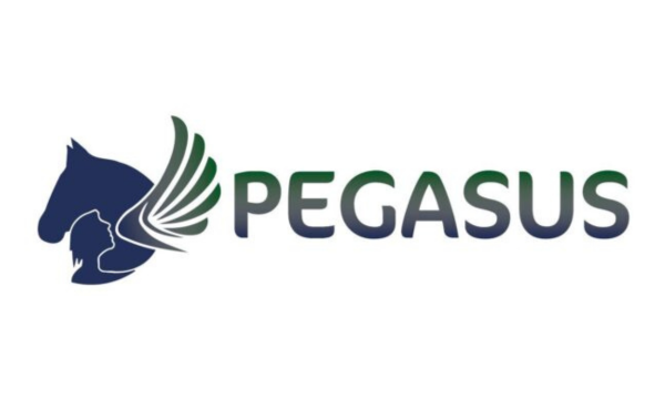 Pegasus logo